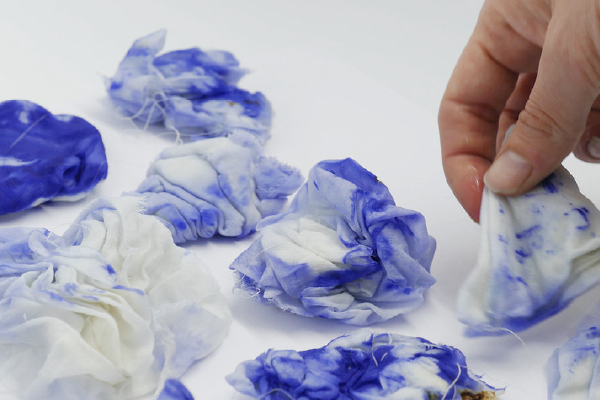 Bacteria Dyeing