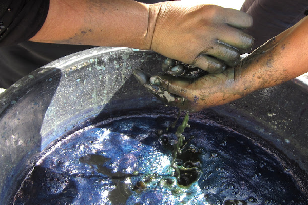 Indigo Dyeing with Locals