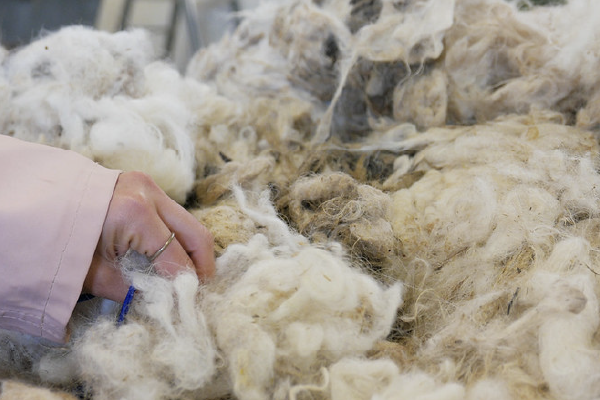 Wool Research